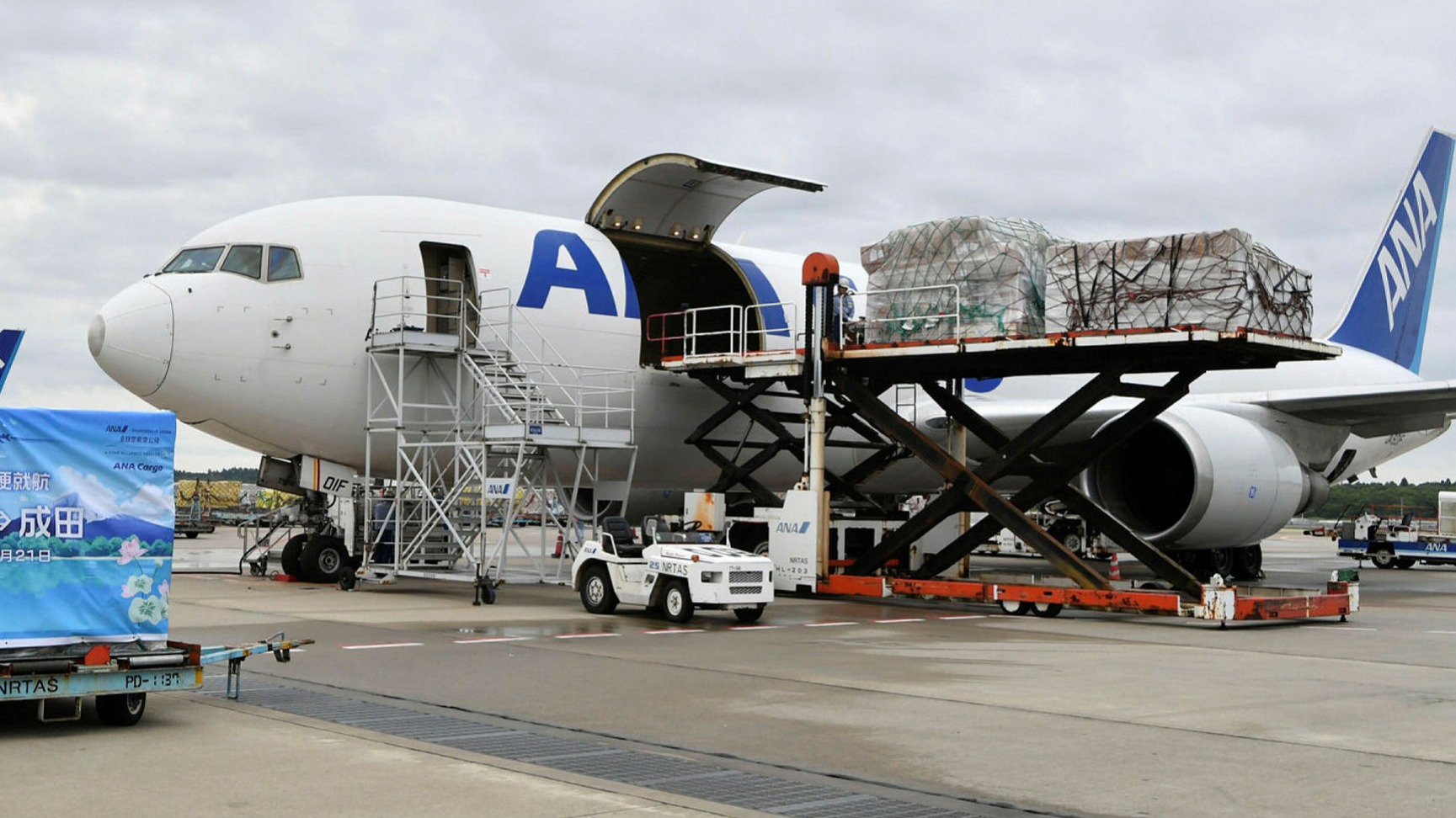 Best International Cargo Company